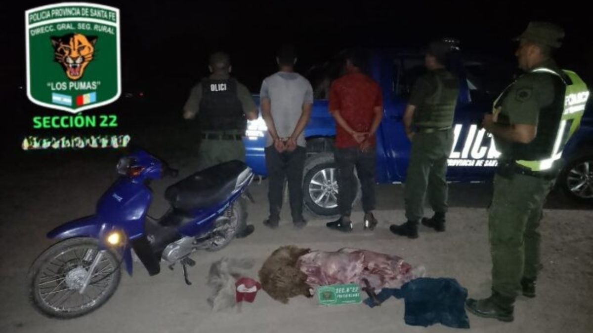 Circulaban en moto con carne faenada sin documentación: fueron detenidos