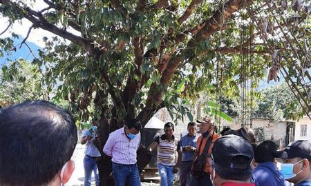 vecinos disconformes con una obra publica: ataron al intendente a un arbol vecinos disconformes con una obra publica: ataron al intendente a un arbol