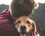 tener mascota es bueno para tu salud, y esta es la razon