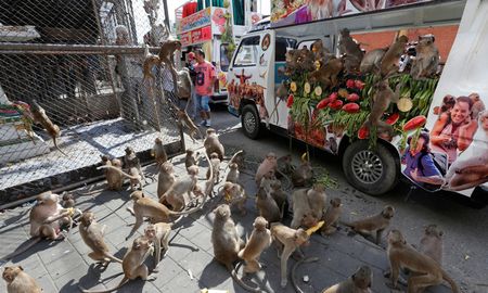 Chaiwat Subprasom / Reuters Chaiwat Subprasom / Reuters