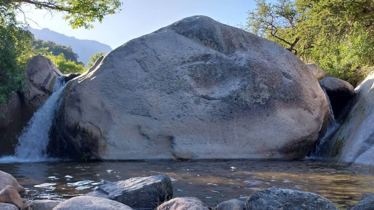 El bosque de El Hueco en Córdoba: un refugio natural con árboles centenarios. El bosque de El Hueco en Córdoba: un refugio natural con árboles centenarios.
