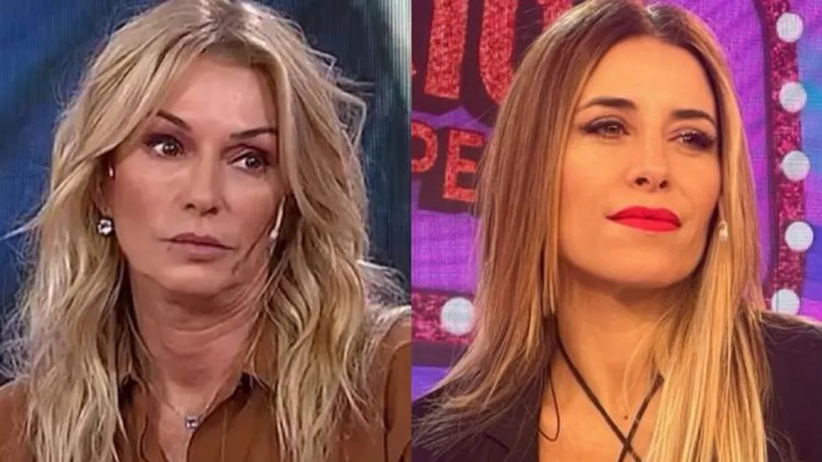 Yanina Latorre explotó contra C5N y defendió a Mariana Brey. Yanina Latorre explotó contra C5N y defendió a Mariana Brey.