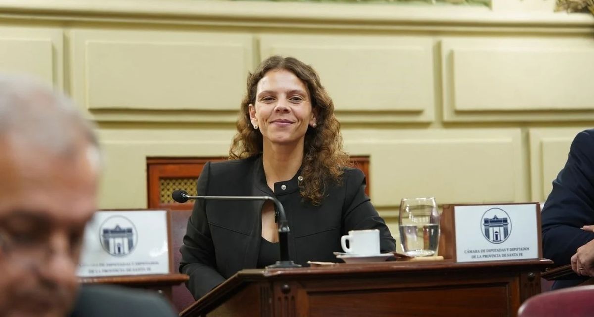 Al hilo de las estadísticas de OIT para Argentina, la diputada Gisel Mahmud releva que “ocho de cada 10 mujeres sufren violencia laboral y muchas no la denuncian por miedo a ser despedidas”.