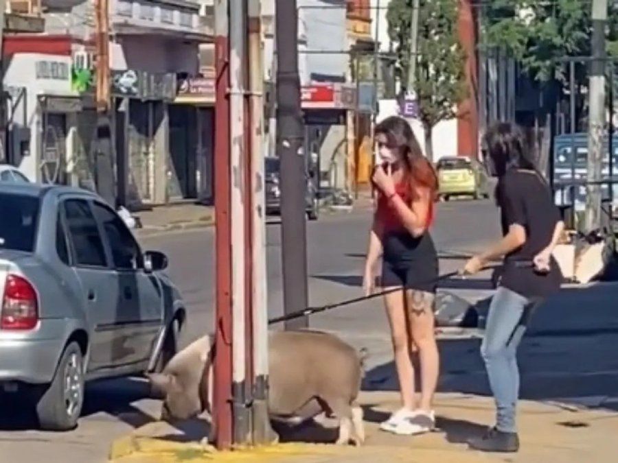 El posteo se volvió viral en la red social del pajarito celeste.