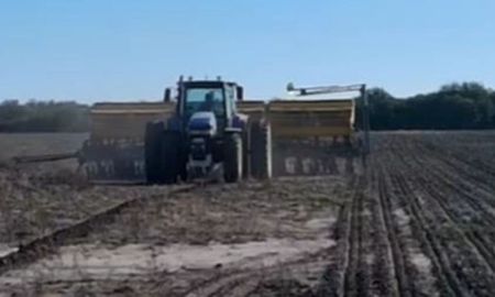 santa fe: las lluvias afectaron la siembra de girasol y maiz en centro norte provincial santa fe: las lluvias afectaron la siembra de girasol y maiz en centro norte provincial