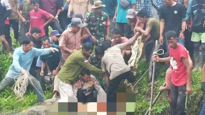 Indonesia: un cocodrilo de 4 metros devoró a una mujer que recolectaba almejas