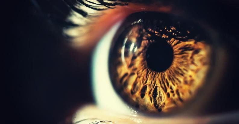 ojo.jpg