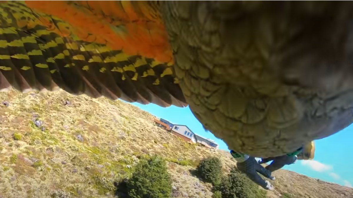 El clip se volvió un suceso en la plataforma YouTube.&nbsp;