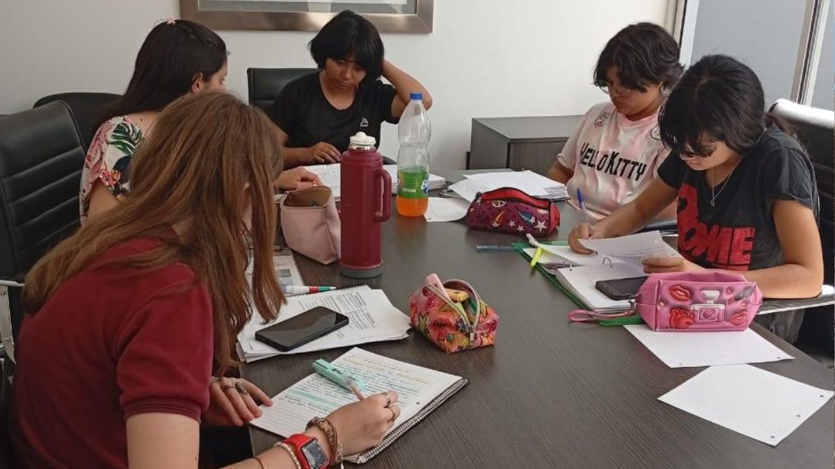 Las ectividades refuerzan los aprendizajes y permiten, en esta instancia, aprobar las materias adeudadas, antes del cierre del año. Las ectividades refuerzan los aprendizajes y permiten, en esta instancia, aprobar las materias adeudadas, antes del cierre del año.