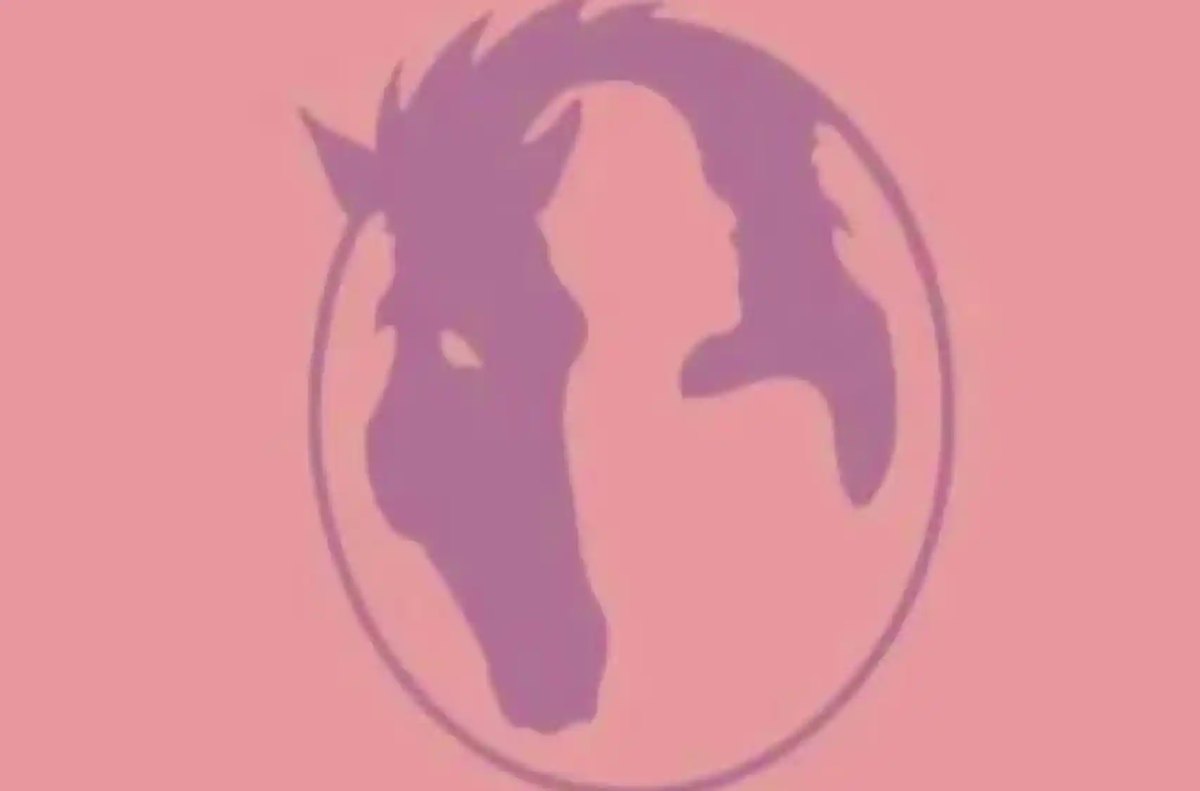 El test visual de personalidad. El test visual de personalidad.