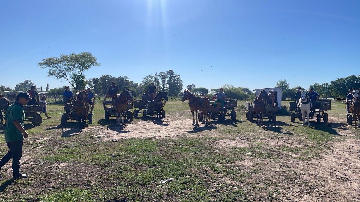Carreros de Santa Fe solicitan trabajar tranquilos con sus caballos.