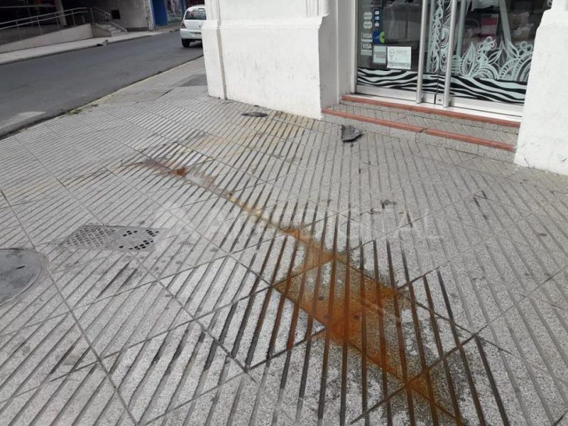 Por un choque, un auto casi termina dentro de un local comercial