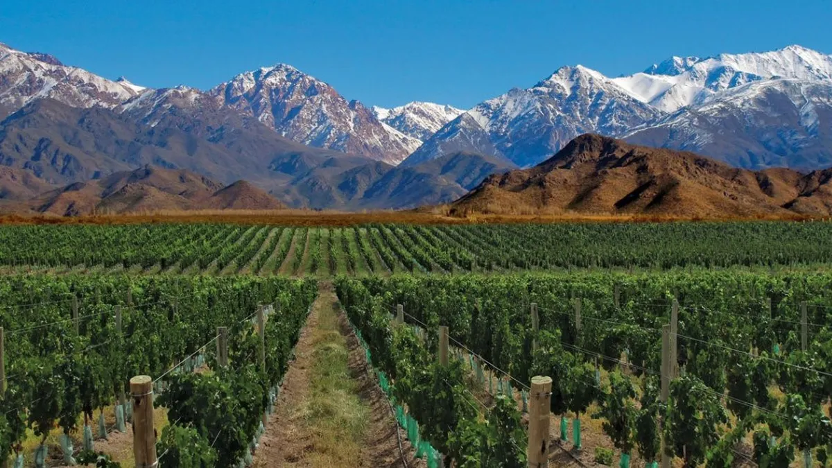 Dentro de la provincia de Mendoza se pueden disfrutar de numerosas actividades, desde recorrer lugares naturales hasta descubrir sus bodegas de vino. Dentro de la provincia de Mendoza se pueden disfrutar de numerosas actividades, desde recorrer lugares naturales hasta descubrir sus bodegas de vino.