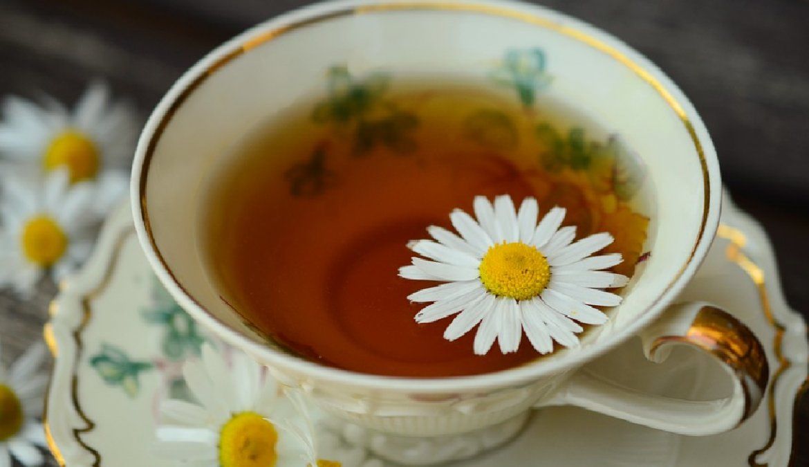 No pueden faltar en su huerta