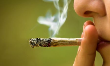La Confederación Cannábica Argentina solicitó este miércoles la regulación del cannabis de uso adulto y la reglamentación de la Ley 27.669 para pymes. La Confederación Cannábica Argentina solicitó este miércoles la regulación del cannabis de uso adulto y la reglamentación de la Ley 27.669 para pymes.