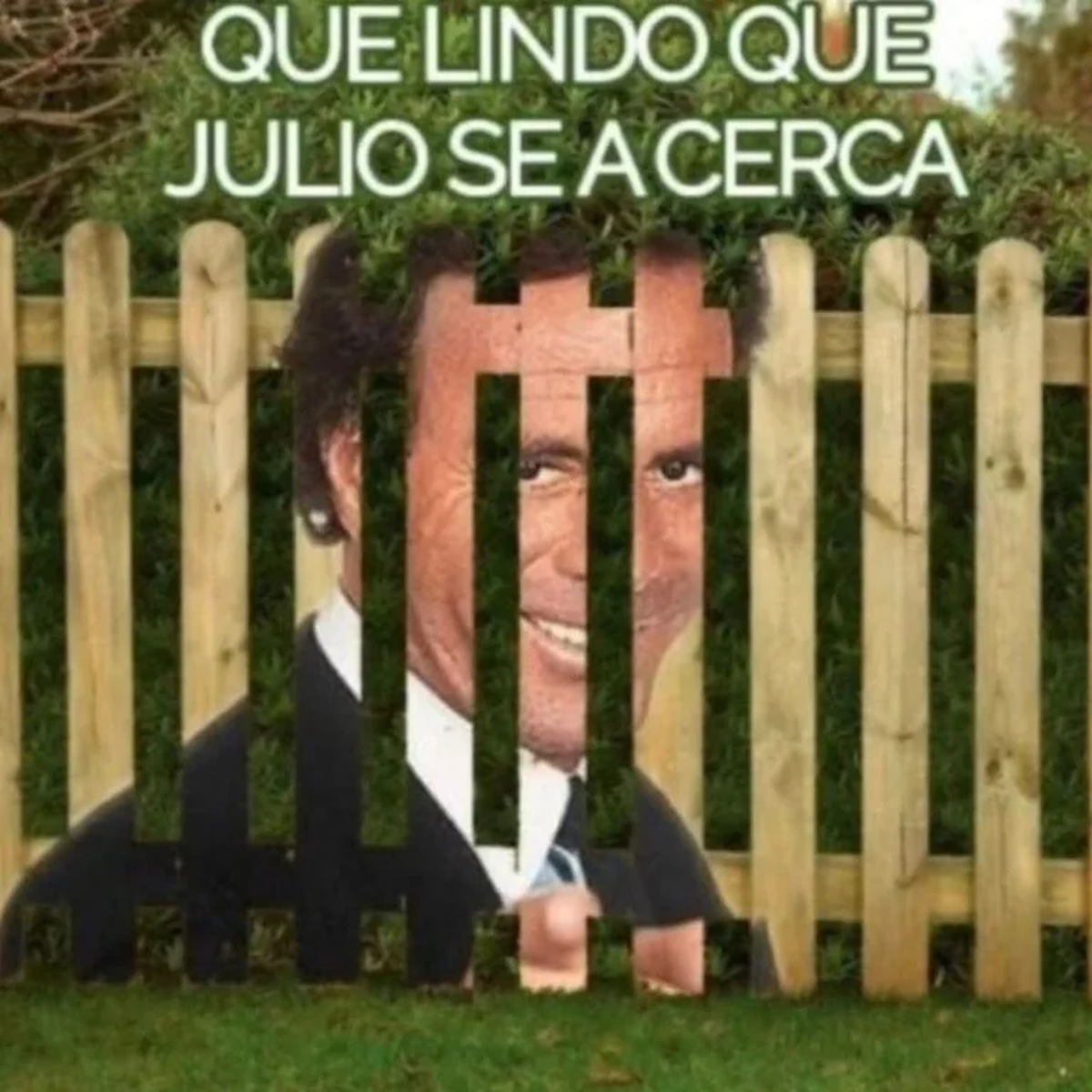 Los memes de Julio Iglesia están explotando. Los memes de Julio Iglesia están explotando.