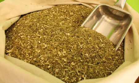 como se toma la yerba mate para adelgazar como se toma la yerba mate para adelgazar