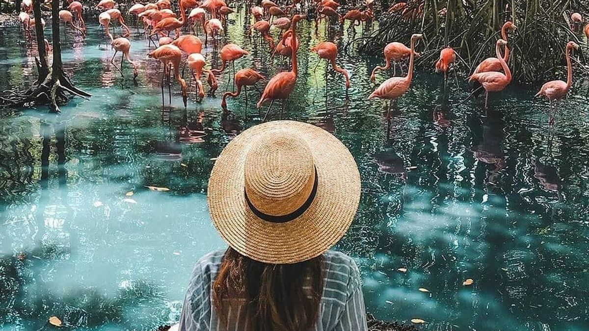 Los cuatro signos del zodiaco que más viajan