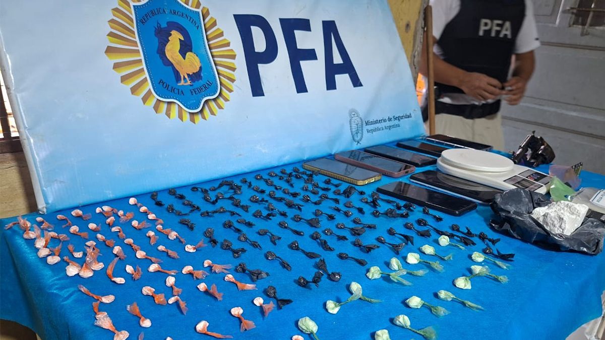 La PFA secuestró varias dosis de cocaína fraccionadas para la venta al menudeo.&nbsp;