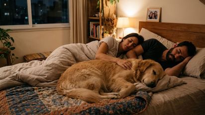 Qué significa dormir con tu mascota todas las noches, según expertos
