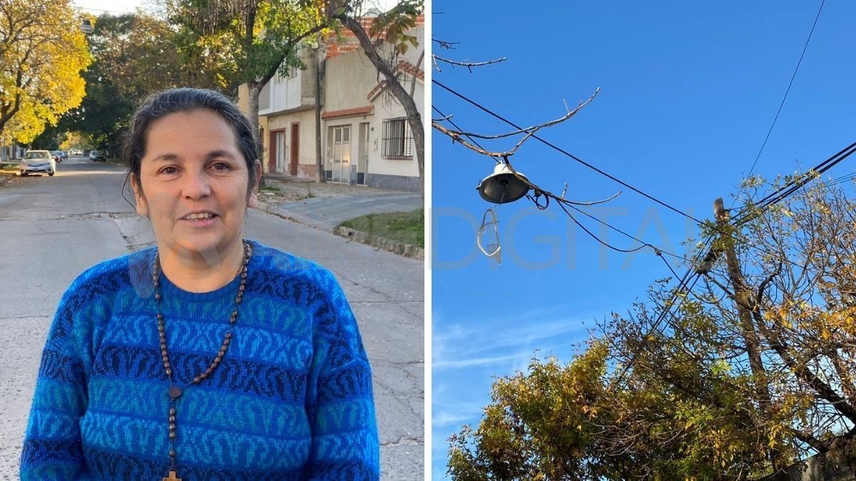 Mónica, la referente de la alarma. A la derecha, el poste y la luminaria por la que reclaman en Mitre 4200.