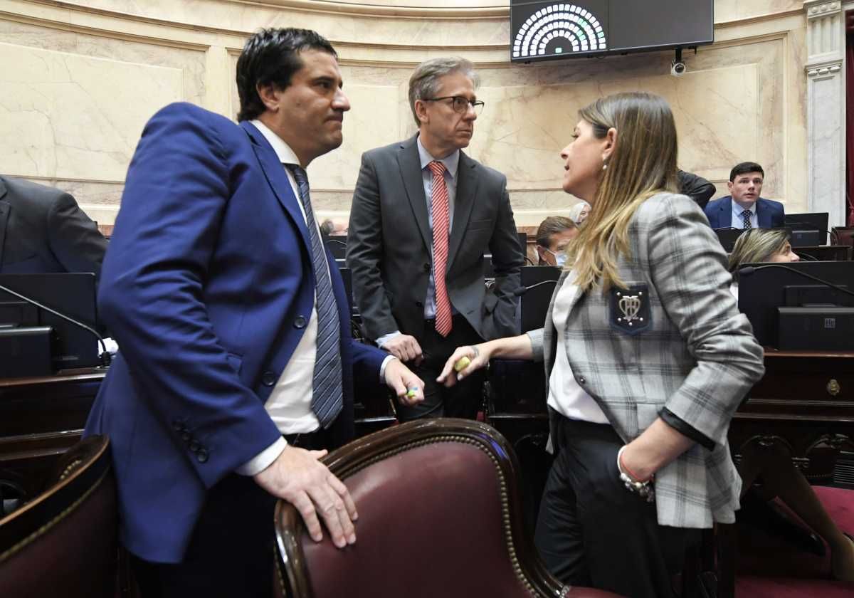 Los senadores que hasta noviembre cobraban 10,2 millones de pesos pasar&aacute;n a cobrar en marzo 11 millones de pesos en bruto y en mayo 11,5 millones, ya que sus aumentos est&aacute;n ligados a los incrementos de la paritaria legislativa.