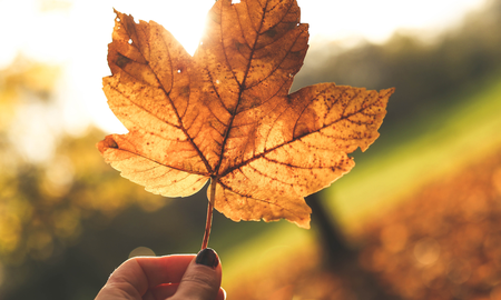 ¿Cuándo empieza el otoño en 2021? ¿Cuándo empieza el otoño en 2021?