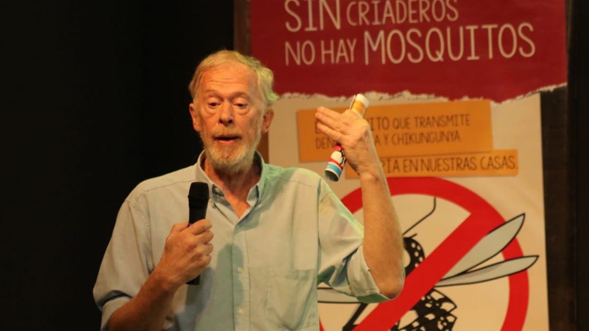 El mosquito del dengue bajo la lupa de un experto que derriba todos los mitos