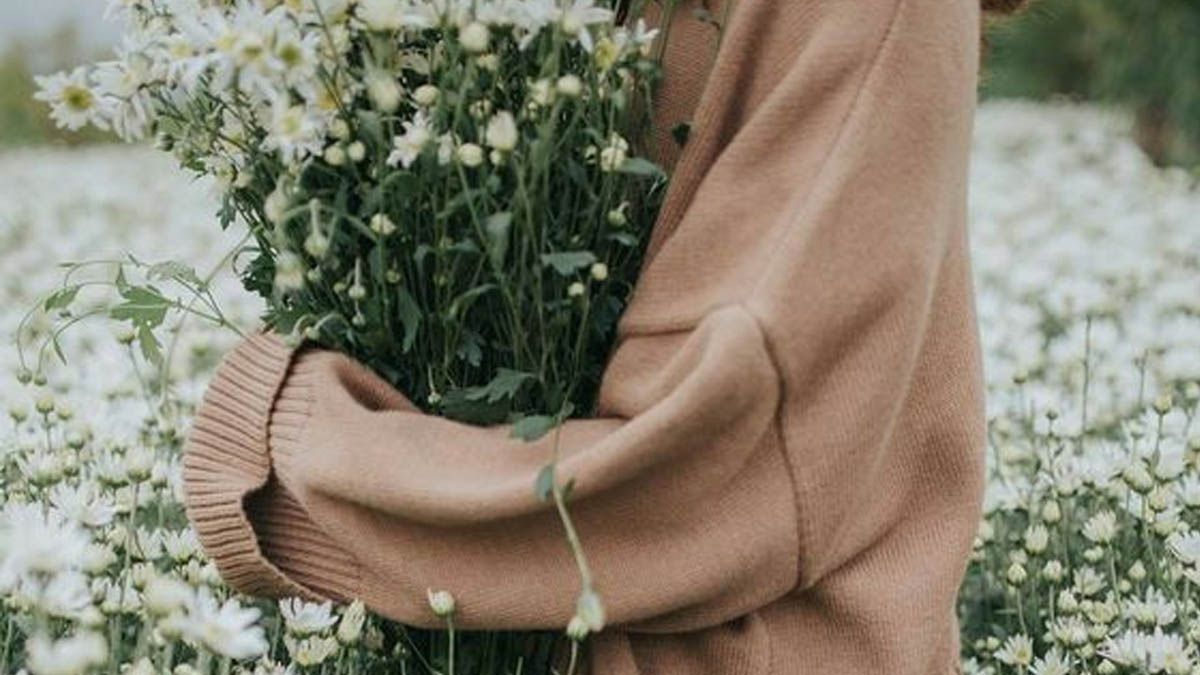 Hor&oacute;scopo: los cuatro signos m&aacute;s amados del zodiaco (Imagen ilustrativa)