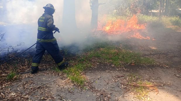 El incendio se produjo en el interior del predio, en el norte de la ciudad de Santa Fe.