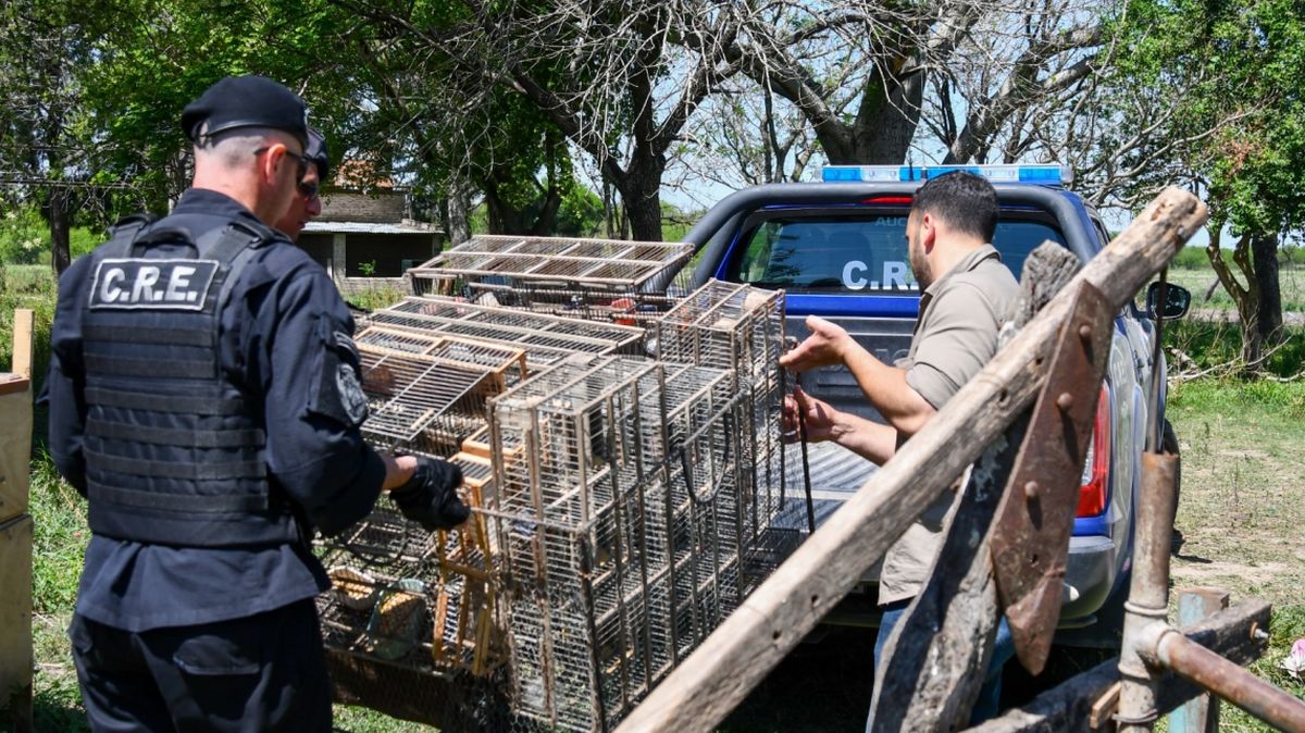 El informe oficial revela un impacto ambiental que atraviesa todo el territorio provincial.