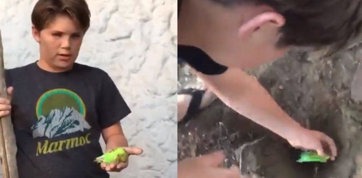 Quién es Chimuelo y por qué se convirtió en el primer fenómeno viral de 2019