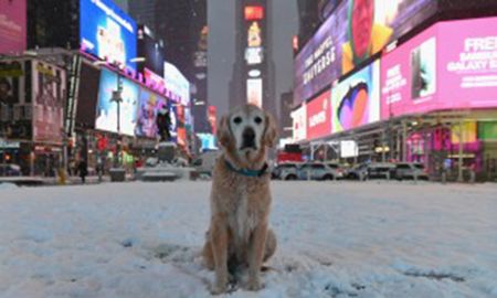 El noreste de Estados Unidos continúa con una alerta por tormentas y nevadas. El noreste de Estados Unidos continúa con una alerta por tormentas y nevadas.