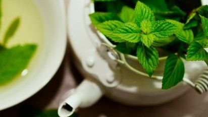 Las10 plantas aromáticas que podes disfrutar todo el año