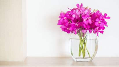 Cómo hacer para que las flores en el florero duren más tiempo