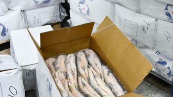 Santa Fe prohíbe exportar pescado y pone el foco en el sábalo: una especie clave del Paraná