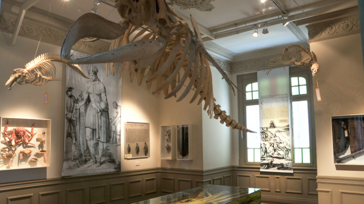 El Museo Oceanográfico y de Ciencias Naturales de Puerto Madryn es uno de los puntos más visitados. El Museo Oceanográfico y de Ciencias Naturales de Puerto Madryn es uno de los puntos más visitados.