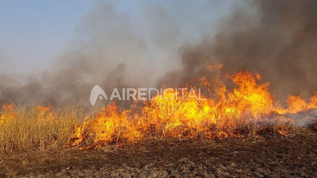Quema de pastizales: Jatón adelantó que en los próximos días varias personas serían citadas a declarar ante la Justicia