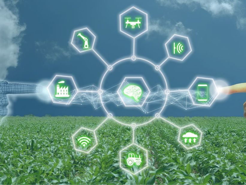 Inteligencia artificial en el agro: cómo transformar los datos de cada hectárea en mejores decisiones
