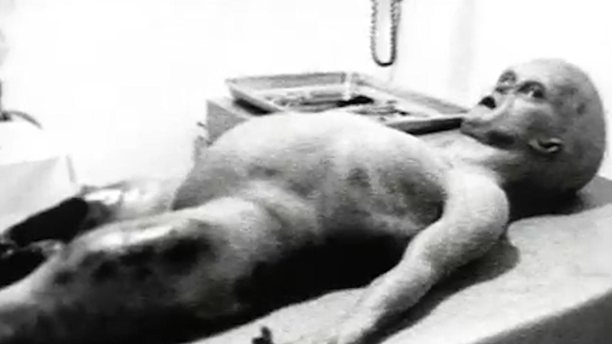 El ejército de EE. UU. me obligó a diseccionar a un extraterrestre