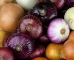 alimentos que fortalecen los pulmones durante todo el ano alimentos que fortalecen los pulmones durante todo el ano
