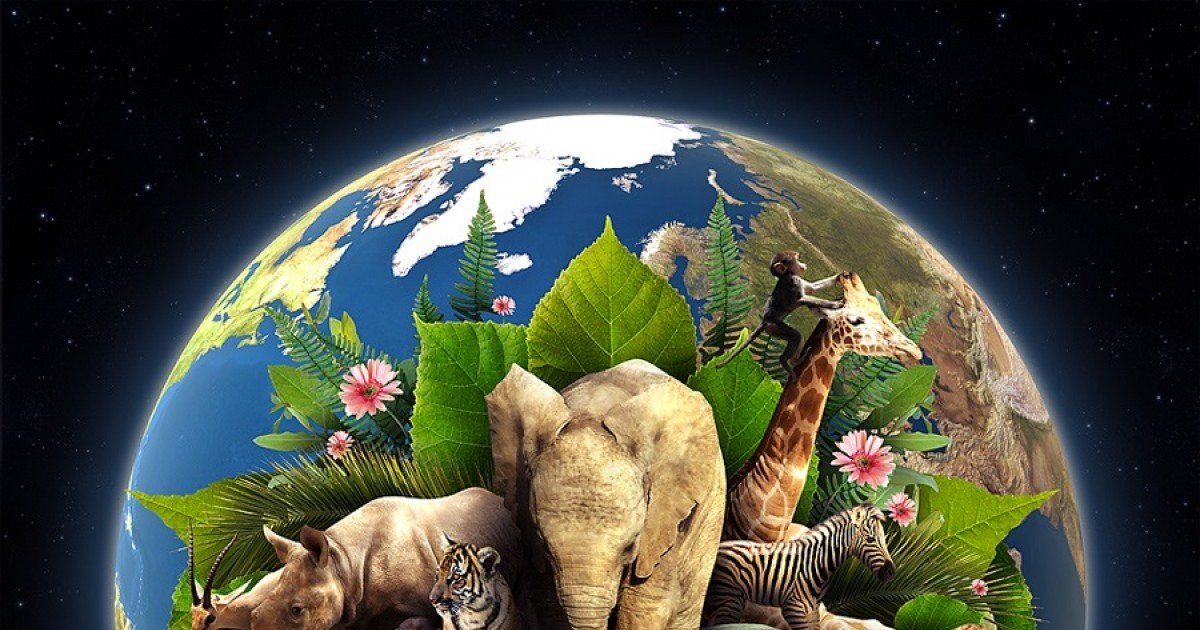 5 documentales de Netflix para crear conciencia en el Día Mundial del Medio Ambiente