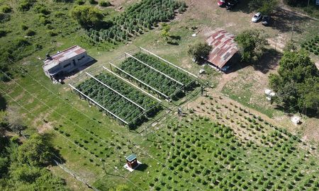 Desde el aire. Así era el predio donde funcionó el vivero narco a la vera de ruta 1. Desde el aire. Así era el predio donde funcionó el vivero narco a la vera de ruta 1.