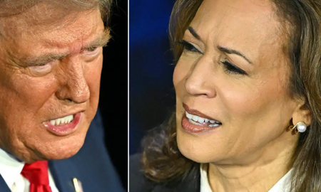 el gobierno evita posicionarse en las elecciones en estados unidos el gobierno evita posicionarse en las elecciones en estados unidos