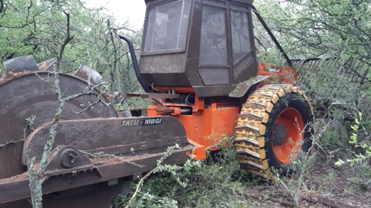 El INTA desarrolló un rolo autopropulsado para fomentar sistemas silvopastoriles sustentables en los bosques del Gran Chaco