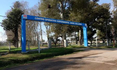 inta: santa fe pierde referentes y peligra la continuidad del centro operativo angel gallardo inta: santa fe pierde referentes y peligra la continuidad del centro operativo angel gallardo