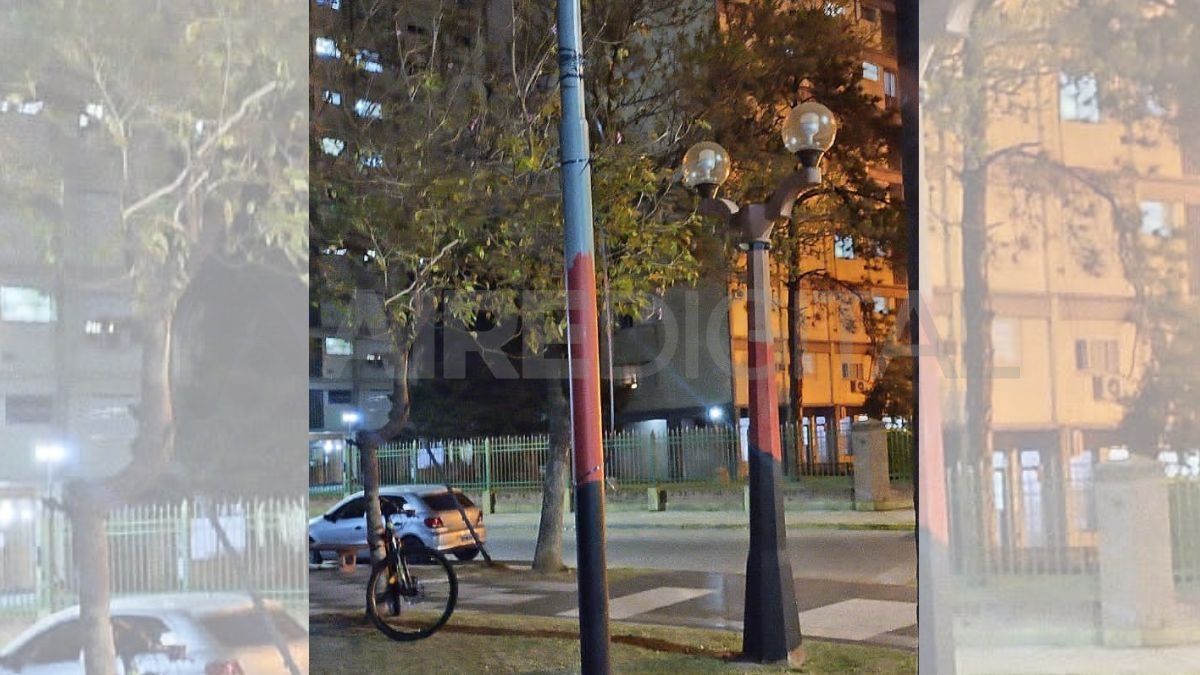 Vandalismo en el sur. Vandalismo en el sur.