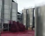 Video: se reventó un depósito con 50 mil litros de vino tinto y hubo un tusnami de malbec Video: se reventó un depósito con 50 mil litros de vino tinto y hubo un tusnami de malbec