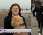La reportera estaba dando un móvil en directo para un noticiero ruso, cuando de repente el perro la sorprendió. La actitud de la joven por no perder su elemento de trabajo desató la risa en las redes.
