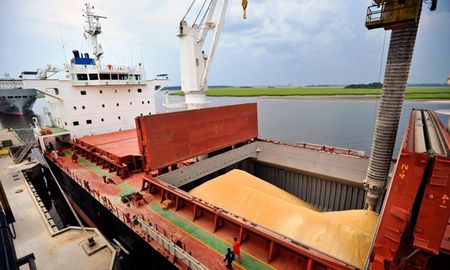A una semana de su cierre, el ministro de Agricultura, Ganadería y Pesca de la Nación, Julián Domínguez, anuncio la reapertura del registro de exportadores. A una semana de su cierre, el ministro de Agricultura, Ganadería y Pesca de la Nación, Julián Domínguez, anuncio la reapertura del registro de exportadores.